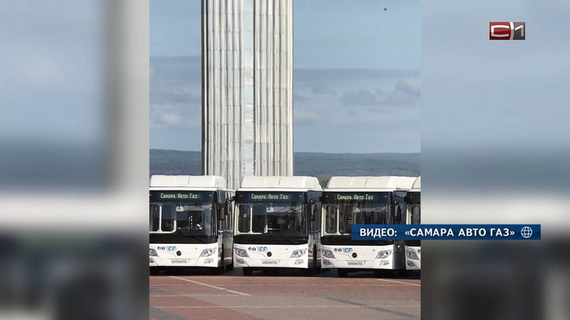 Новый перевозчик готовится отправить в Сургут более 120 автобусов МАЗ и «Лотос»