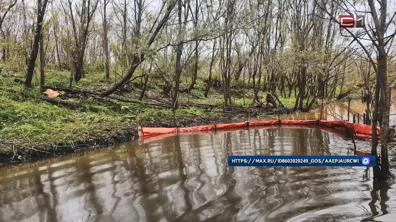 Стала известна причина загрязнения протоки Бардаковка в Сургуте