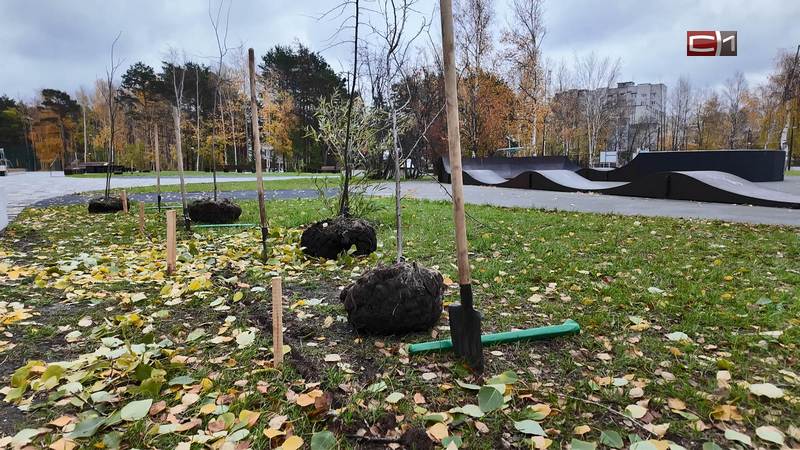 Депутаты Сургута приняли участие в массовом субботнике