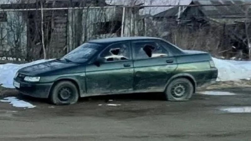 Хотела отомстить: жительницу Югры будут судить за порчу чужой машины