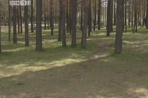 Денег на содержание парков в Сургуте нет