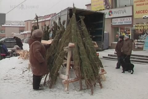 В Сургуте упал спрос на новогодние ёлки
