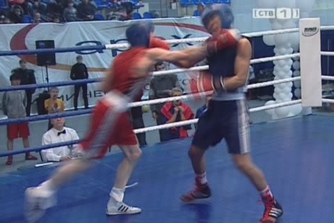 Четыре боксера представят Югру на главном турнире страны