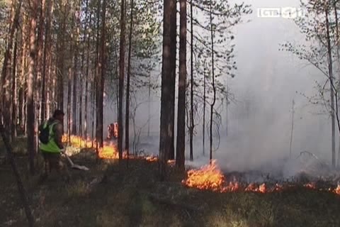 В Сургуте объявлен повышенный уровень пожарной опасности