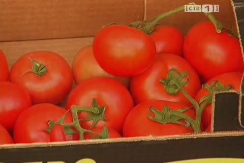 Больше 100 кг овощей из Европы сняли с продажи в Сургуте  