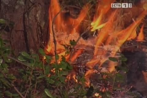 В Югре вновь полыхают лесные пожары