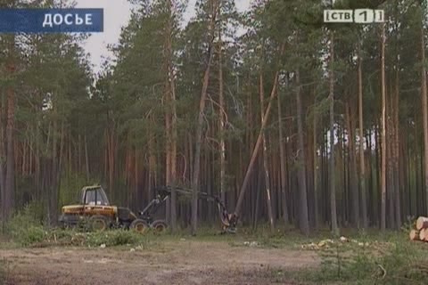 К вырубке леса на Барсовой горе привели неслаженные действия чиновников 