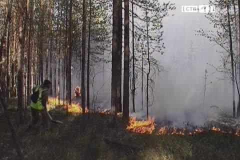 Четыре лесных пожара потушены в Сургутском районе за выходные  