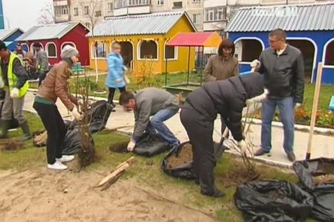 «День посадки деревьев» в Сургуте станет традицией