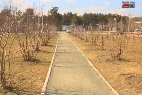 Газовики подарят Сургуту новый сквер  