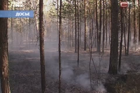 Из-за лесных пожаров в Югре введен особый режим  