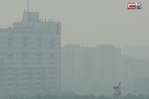 Сургут накрыло дымом