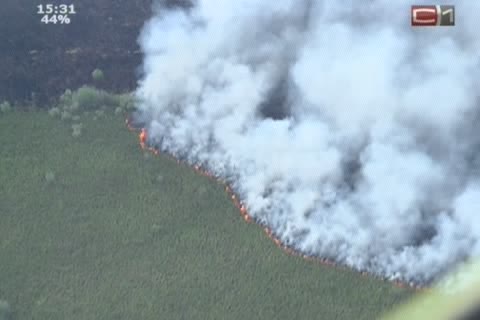 В Югре продолжают полыхать лесные пожары  
