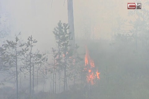 Серьезный пожар в районе кооперативов «Летние юрты», «Газовик» и «Виктория»