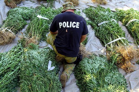 Полицейский из Нижневартовска торговал марихуаной 