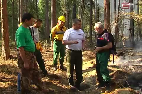 Ущерб от лесных пожаров в Югре исчисляется сотнями миллионов