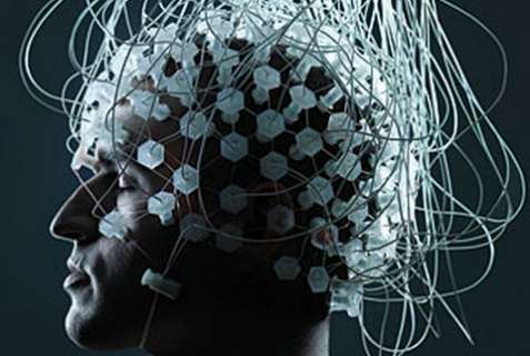 Ученые создают кибернетический разум