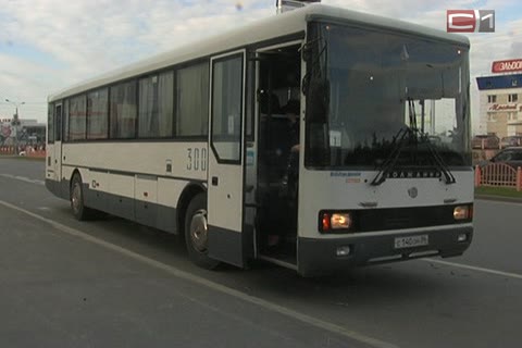 Добраться до Ледового дворца по-прежнему можно на нескольких автобусах