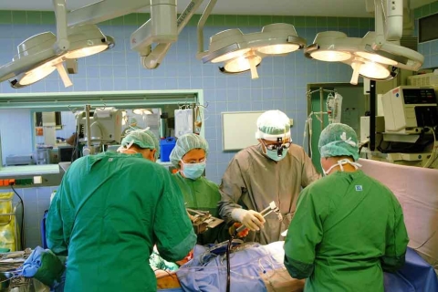 Сургутские врачи добились высоких результатов в эндопротезировании