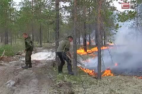 Югра начинает готовиться к лесным пожарам