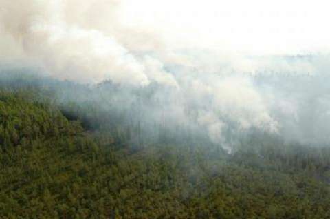 Югра обновила парк техники для тушения лесных пожаров на 128 млн рублей