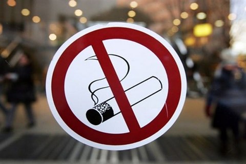Совфед одобрил запрет на курение в общественных местах с 1 июня