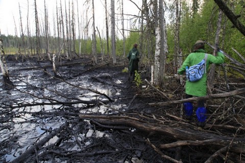 «ЛУКОЙЛ» заплатит 154 тысячи рублей за загрязнение леса в Югре