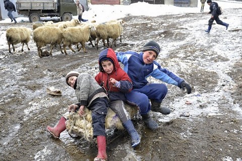 На Северном Кавказе пропали  110 тысяч детей