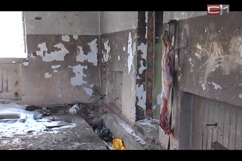 Сургутские подростки обнаружили в заброшенном доме освежеванный труп собаки