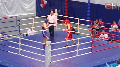 В Сургуте назовут новых мастеров спорта по боксу 