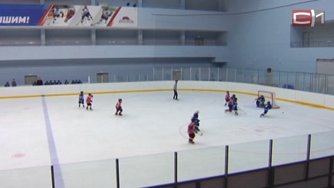 Юные сургутяне стали лучшими в окружном турнире по хоккею