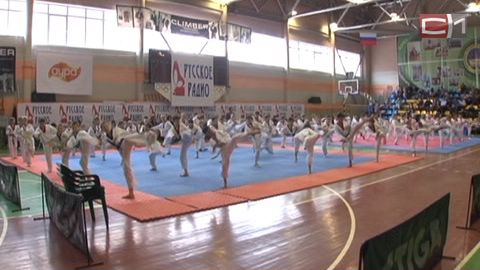 В Сургуте прошло открытое первенство города по тхэквондо