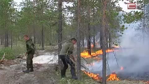В Нягани из-за лесного пожара эвакуировали жителей дачного кооператива