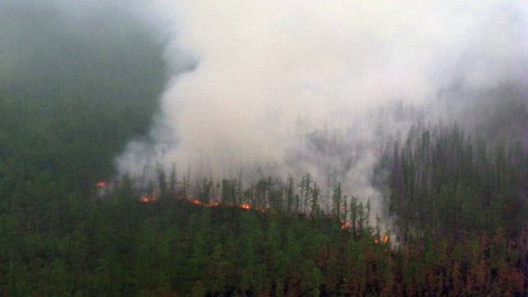 В Якутии пропали тушившие пожар лесничие