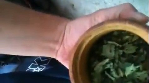 В Нижневартовске арестовали сбытчика марихуаны