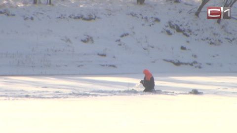 Тонкий лед на реке не пугает сургутских рыбаков