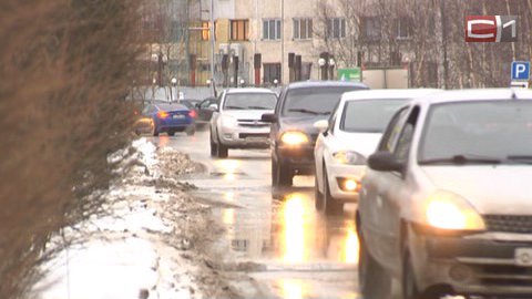 Век такого не видывали! Этот ноябрь в Сургуте самый теплый за последние 100 с лишним лет