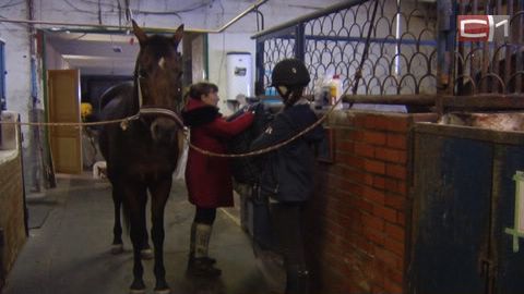 Замерзающей конно-спортивной базе на Белом Яру помогут москвичи. У Сургута нет лишнего газа 
