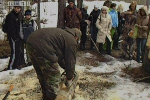 В лесах района готовятся к встрече птиц и лосей