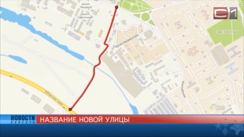 Никольская или Таратыновка? Мнения по выбору новой улицы разделились