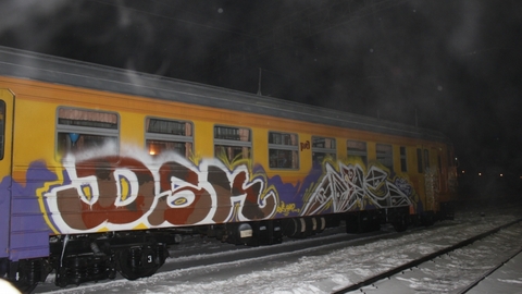 Тюменские «художники» разрисовали поезд. В РЖД их творчество не оценили