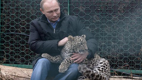 Новые фото в коллекцию. Путин погладил леопарда, Медведев покормил бактерий