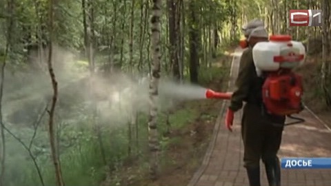 Туляремии — бой! В Югре по весне объявят «химическую атаку» на грызунов