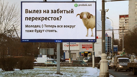 В 14 городах России стартовал проект против «баранов на дорогах». ФОТО