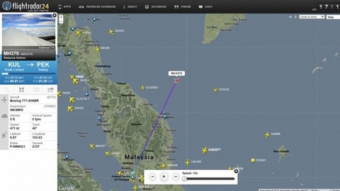 «Загадку» малазийского «Боинга» пытаются отгадать 3 млн волонтеров, ведущих поиск пропавшего самолета буквально по крупицам