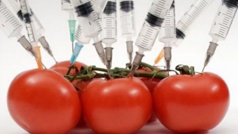 Российский рынок должен освободиться от продуктов с ГМО