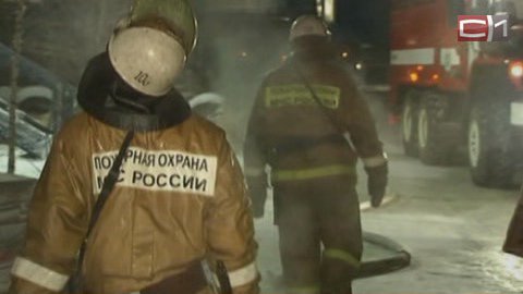 В Сургутском районе с начала года в огне погибли 2 человека