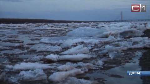 Спасатели прогнозируют ранний ледоход на Оби