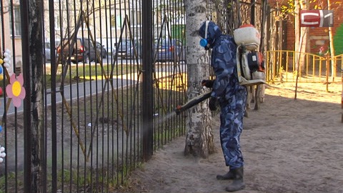 «Ночной дозор» в Сургуте: дезинфекторы обезвредили от кровососущих детские сады, на очереди — парки и скверы