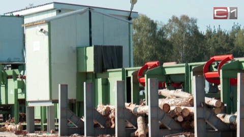 Тюменская область ищет инвесторов для строительства лесоперерабатывающих комплексов